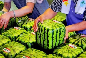 10 самых дорогих продуктов питания в Японии