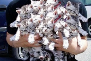 Эра милосердия.