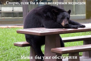 Смешные картинки с подписями