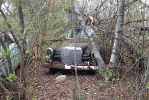 Американский джанкярд
