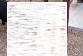 Почему он такой козел?