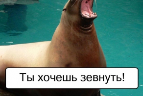 Зевота заразна