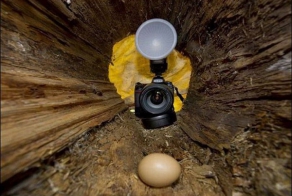 Воровку сфотографировали на месте преступления