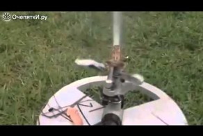 Жаба пулемётчица