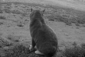 Безысходность