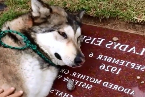 Бывшие друзья!