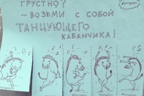 Добрые и смешные объявления Анастасии Винокуровой