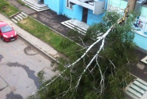 повезло так повезло...