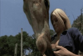 Классные гифки.