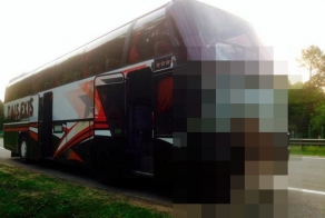Рейсовый автобус сбил лося