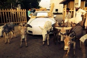 Что лучше — осел или авто Jaguar XF за $83000