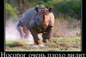 Фишкина солянка за 18.06.2014