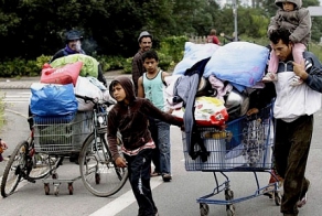 Действенная борьба с цыганами