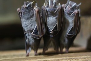 Подборка видео от 18.06.2014