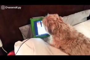 Увидела любимого по Скайпу=)
