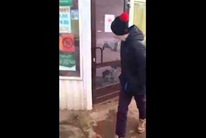 Голуби в ларьке