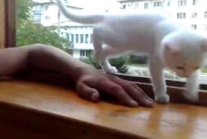 Рука спасена! 