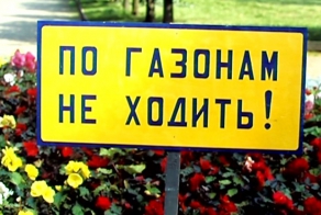 Газон.