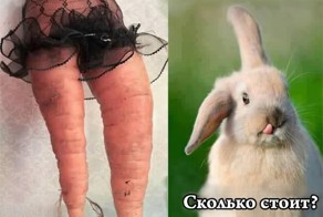 Подборка анекдотов