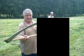 Покосили траву...