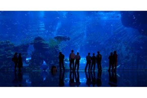 Аквариум Dubai Mall