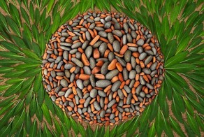 Мозаика из камней и листьев: яркий лэнд-арт