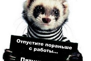 УРА! ПЯТНИЦА!!!!!