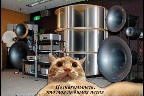 мой сосед сверху!