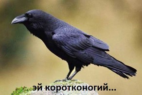 Учитель :)