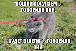 Фишкина солянка за 22.06.2014