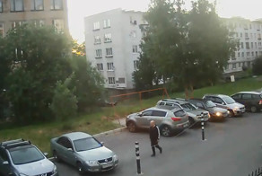 Пьяный вандал