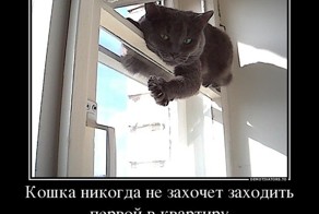 Понедельник день тяжелый! (демотиваторы)