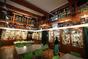 Необычные и удивительные экспонаты в Зоологическом музее Гранта в Лондоне (17 фото)