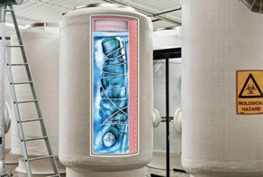 Профессор из Гамбурга Клаус Самес собирается воскреснуть через 150 лет