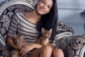 Скомуниздили  котенка, примерно, за 400000 руб, и бабла 500000 руб.