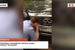 Пилите, Шура, пилите