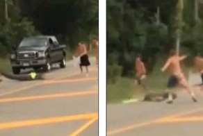 Пьяные американцы попытались поймать аллигатора голыми руками