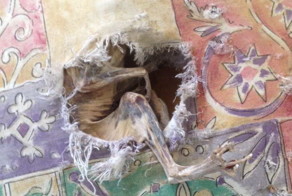 Тайна старого кресла