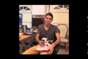 Зак Кинг Король Видео монтажа