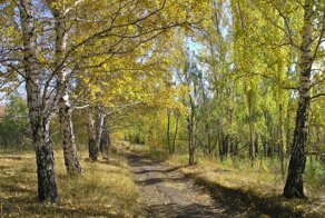 Удивительная природа России. (Видеоклип)