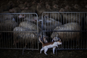 Итальянская глубинка