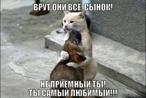 Фишкина солянка за 29.06.2014