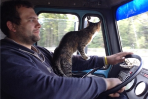 К успеху спешил..