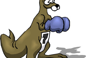 Спарринг кенгуру и гуся.