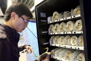 Самые странные торговые автоматы