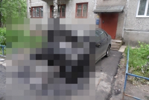 Владелец Мерседеса во всем винит завистников