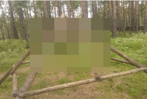 Пирамида с деревянным шаром
