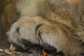 Фотоподборка за 02.07.2014