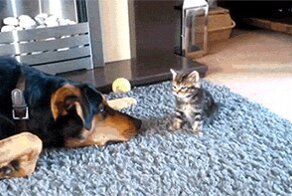 Ну давай поиграем...