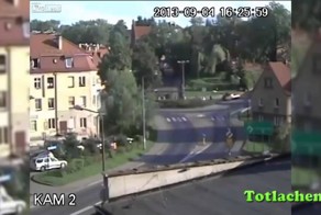 Смешные животные и абсурдные люди